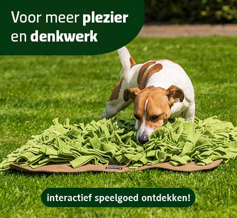 Interactief hondenspeelgoed voor meer plezier en uitdaging