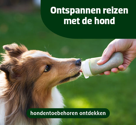 Hondenreistoebehoren