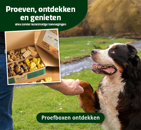 Proefboxen met hondenkoekjes in verschillende varianten