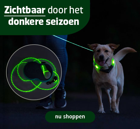 Zichtbaar en veilig door het donker de hond uitlaten
